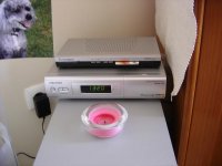 DSC00941Small.JPG