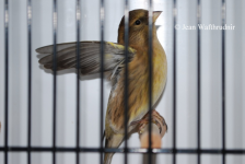 sem nome4444444444444.png