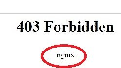 nginx.jpg