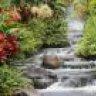 Italu