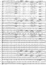 Partitura 13.jpg